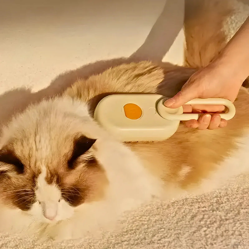 Escova a Vapor para Pets