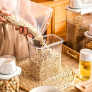 Recipiente Hermético Organizador para Armazenamentos com Cop