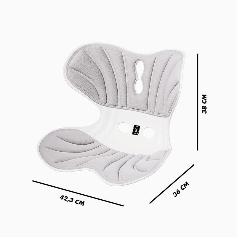 Almofada de Apoio Lombar Cadeira Correção de Coluna GG - CIN